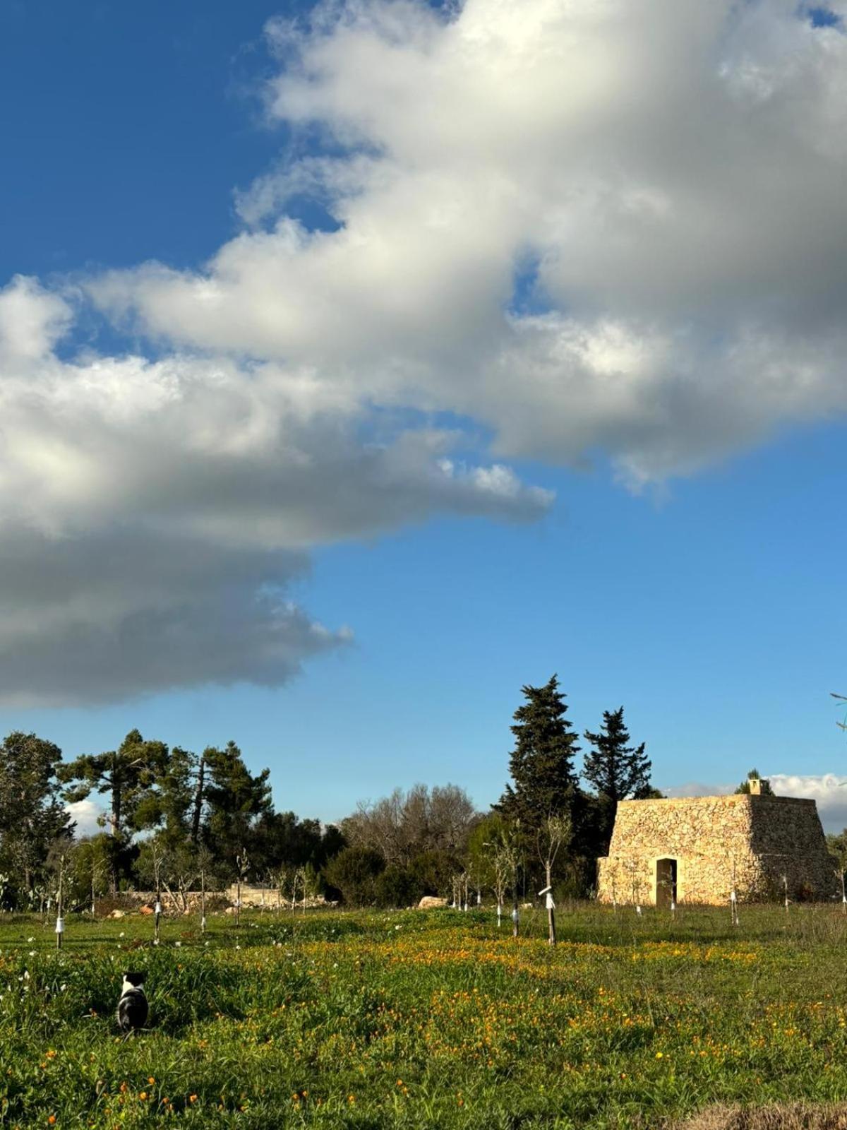 Badia San Michele Pajara Aida Aparthotel Tuglie Kültér fotó
